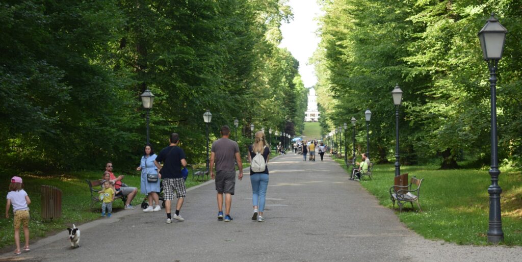 a-group-of-people-walking-down-a-tree-lined-street-